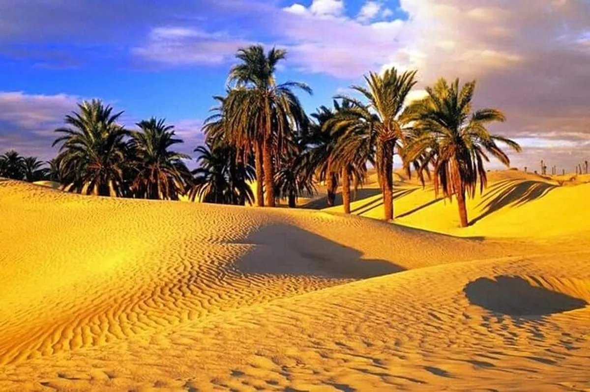 Sahara Desert